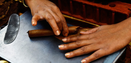 Cohiba: Inside the ‘factory’ of Cuba’s Finest Cigar