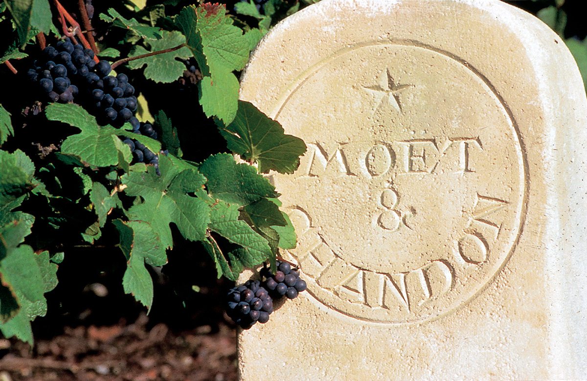 Moet & Chandon