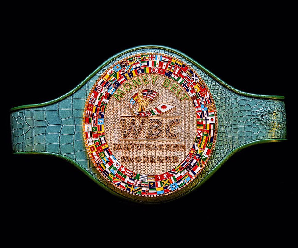 Money Belt