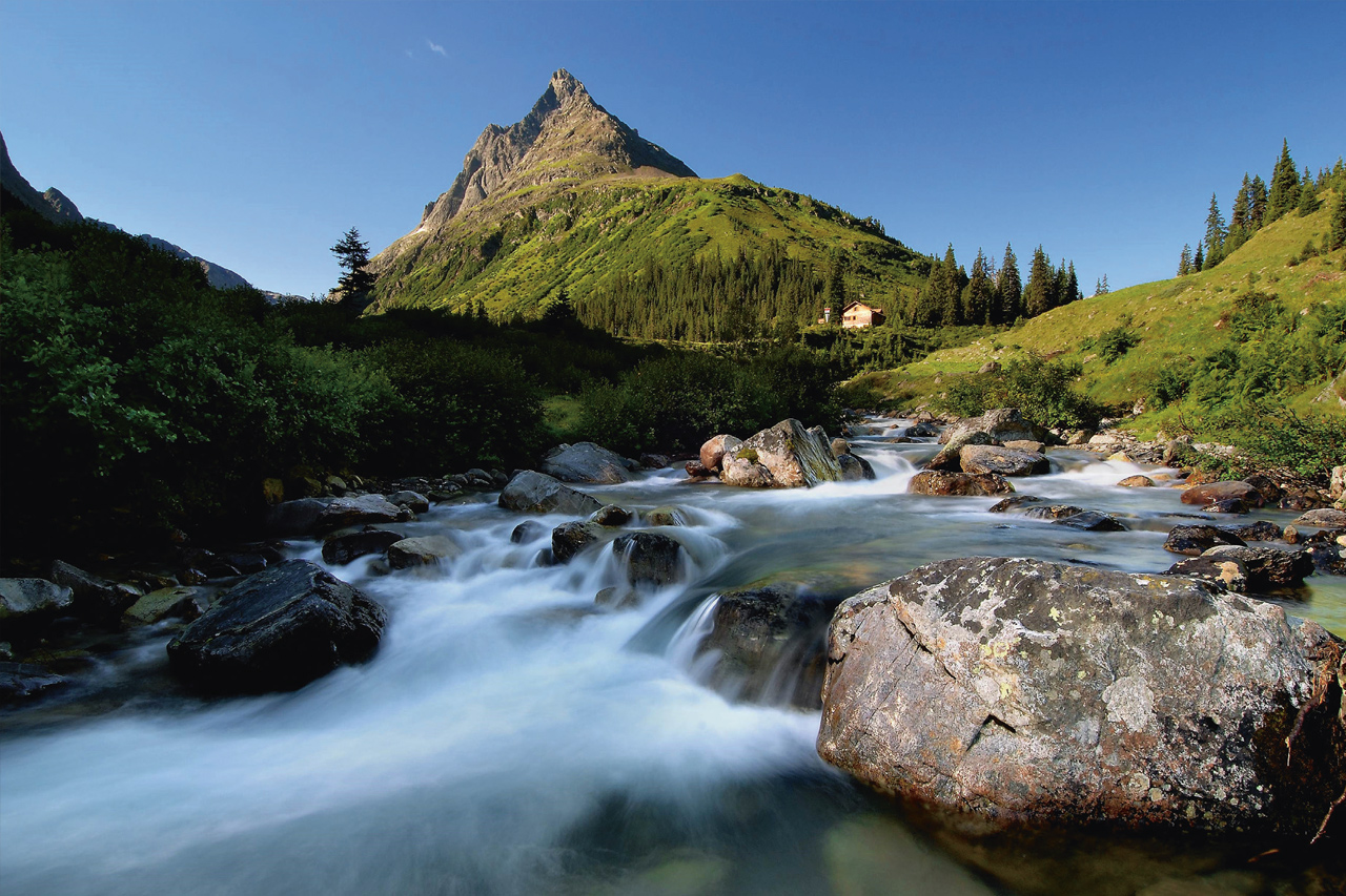 Alps in the Summertime