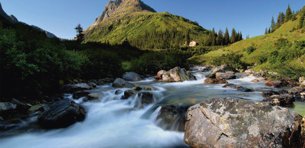 The Alps in the Summertime