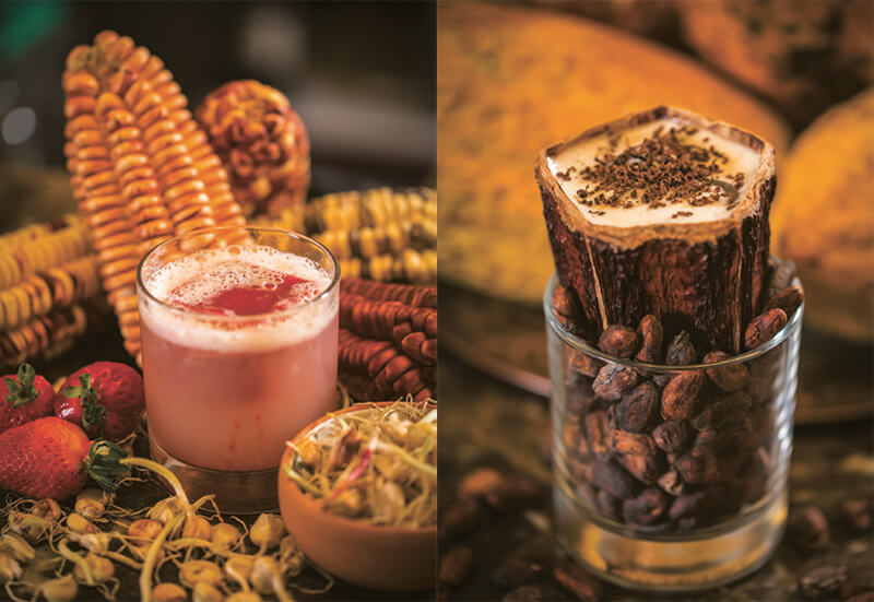 Drink Cocktails