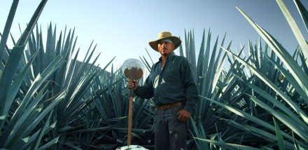 Patrón: Inside the Premium Tequila Brand’s Mexican Hacienda