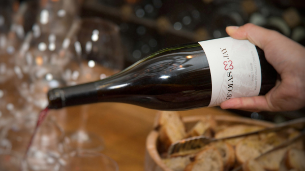 A Lockdown Guide to Red Wines