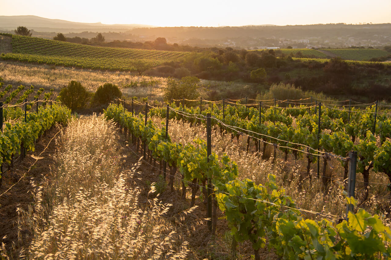 Domaine des Prés Lasses