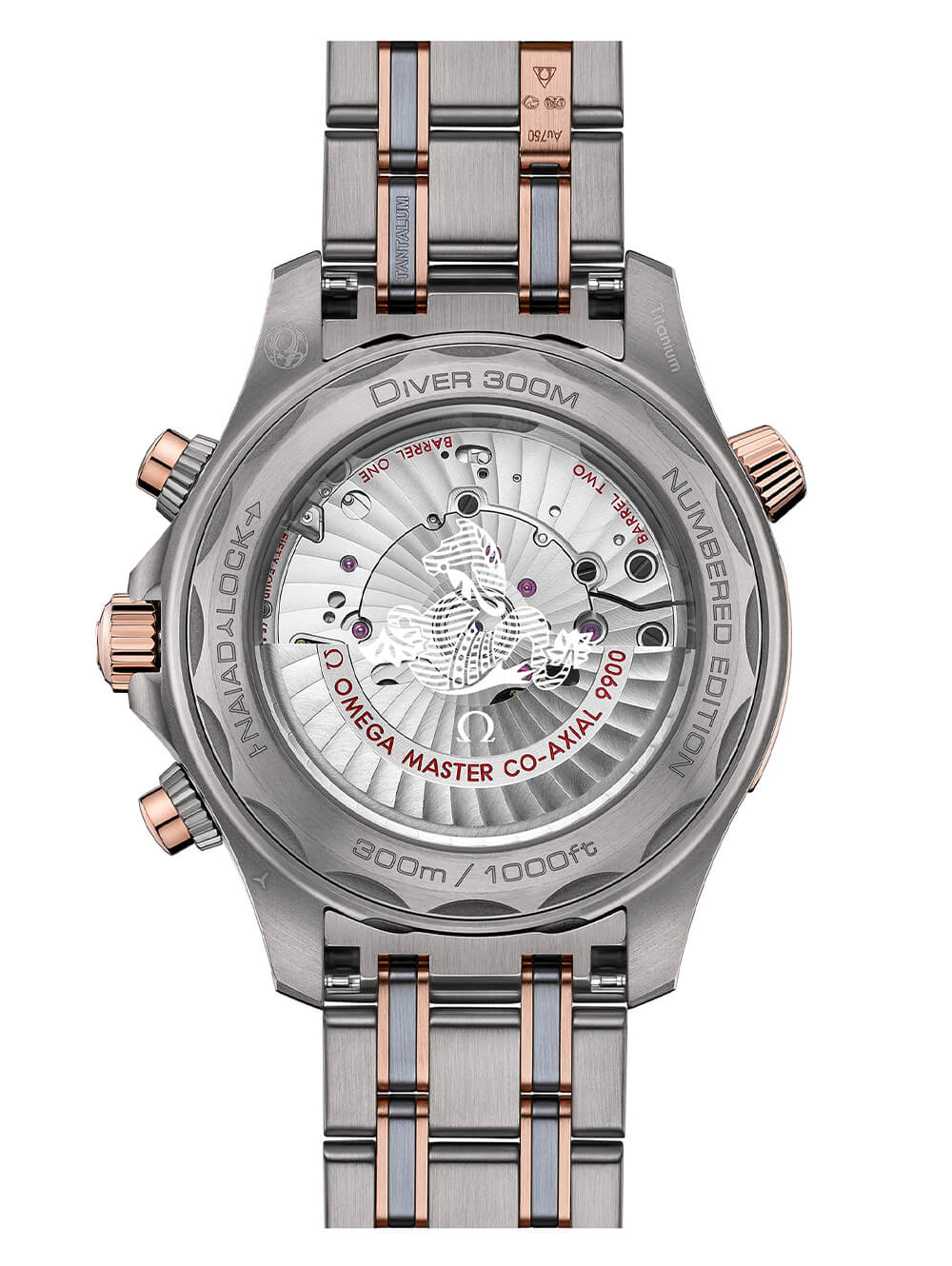 Omega Seamaster Diver 300M