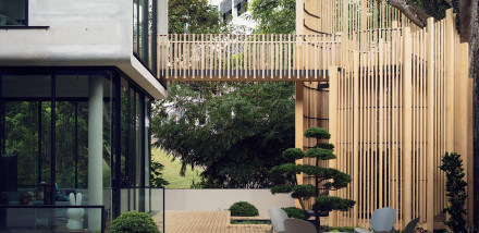 What is Biophilia and Why Are People Filling Their Homes with Plants?