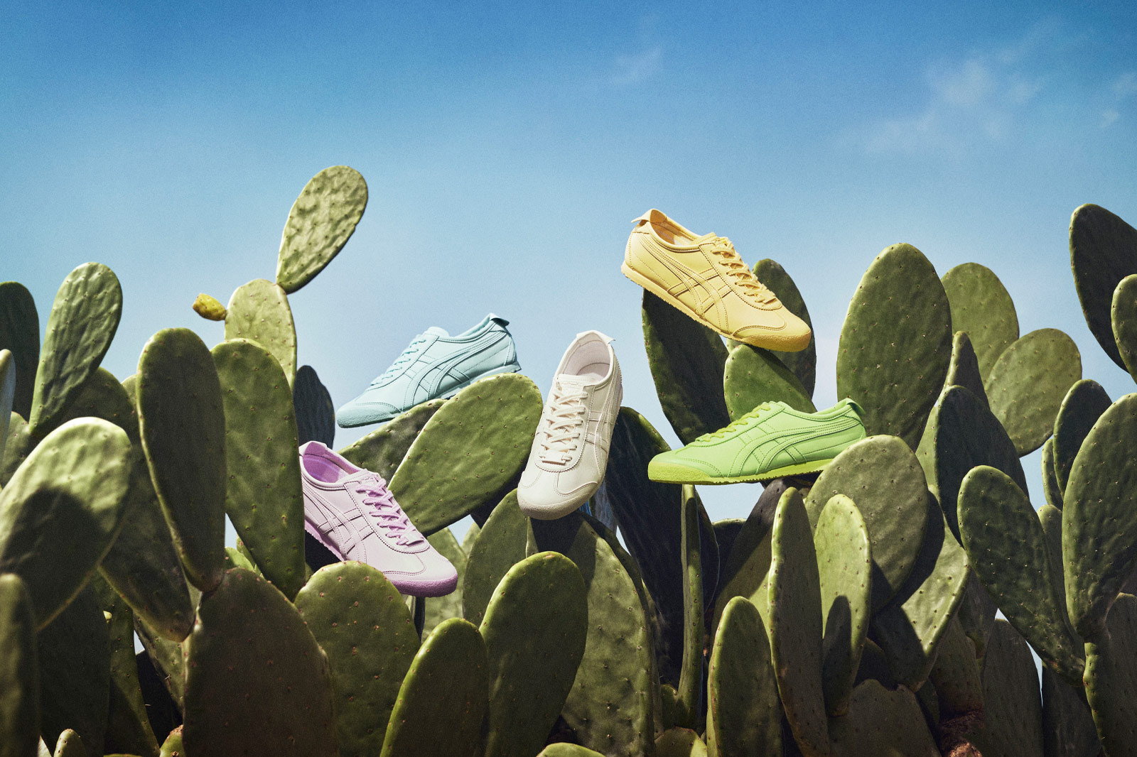 Onitsuka Tiger MEXICO 66 CACTFUL