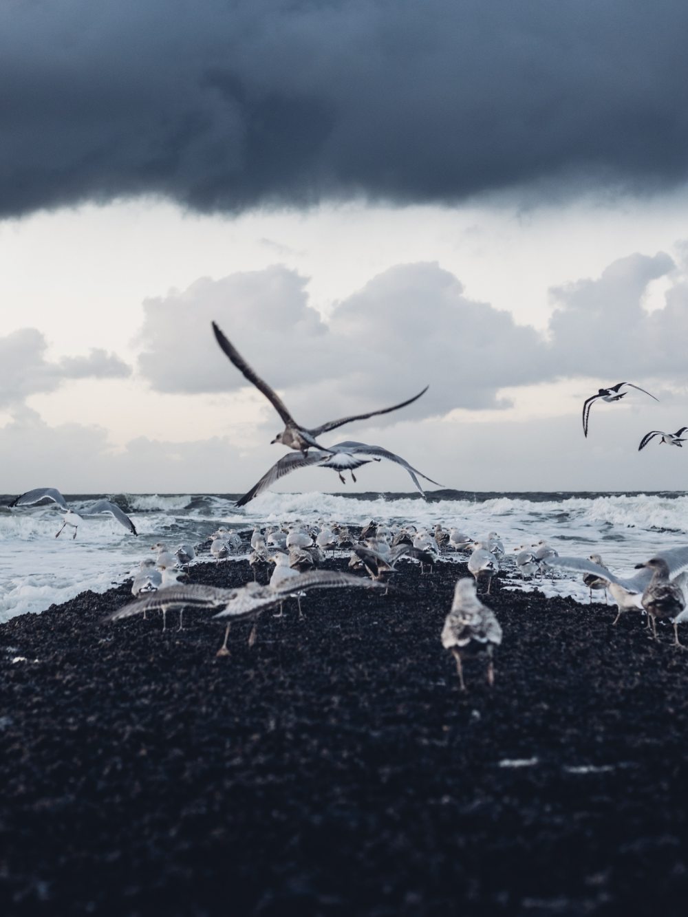 The Wadden Sea