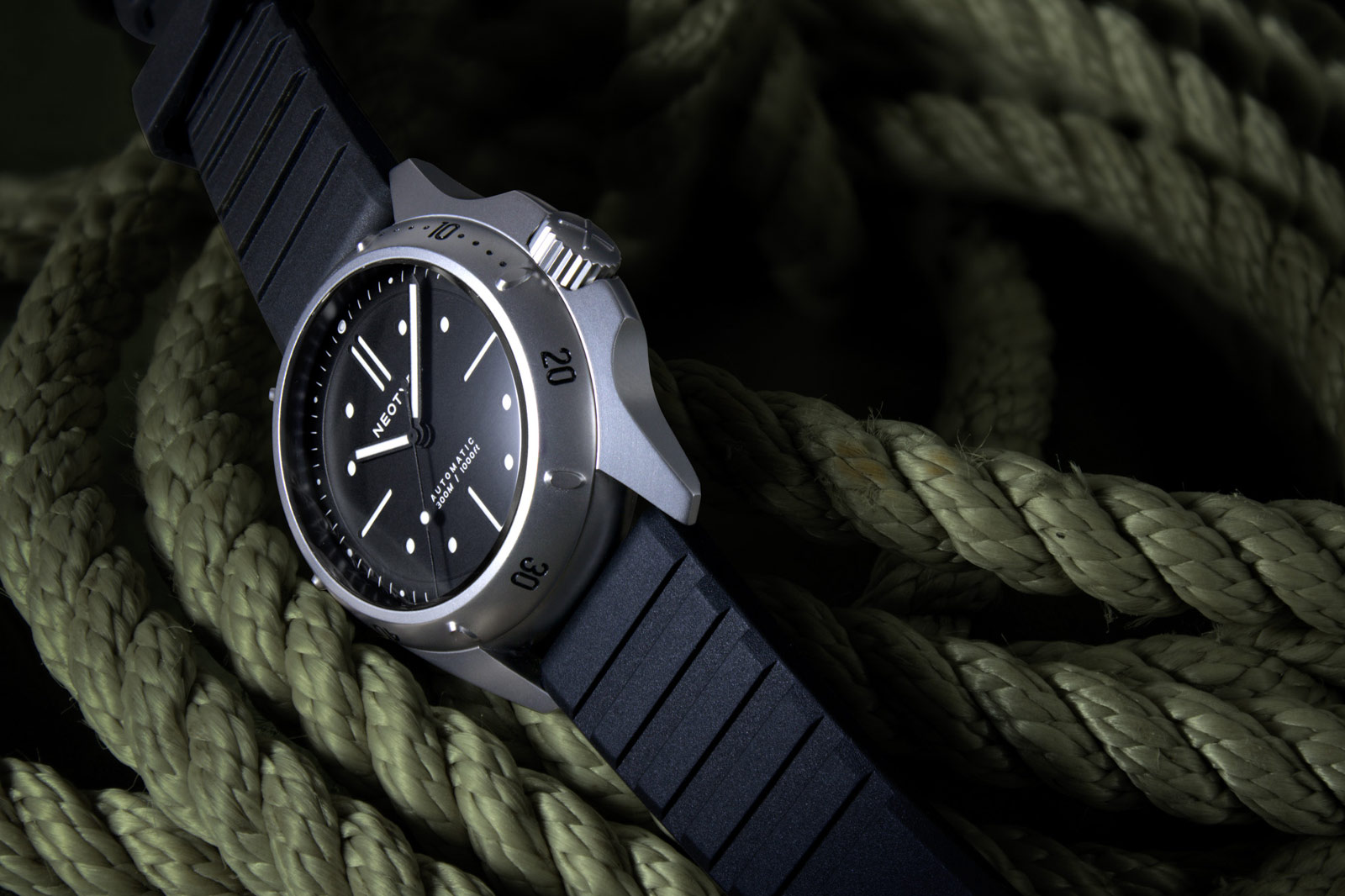 Neotype LM01 Type D2