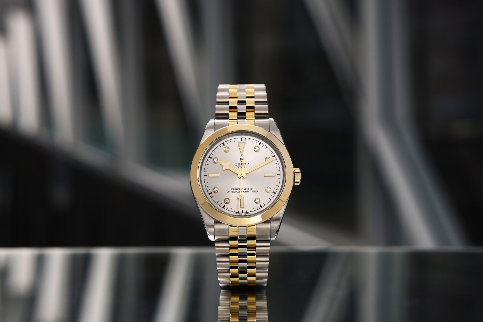 Tudor Black Bay 31 S and G