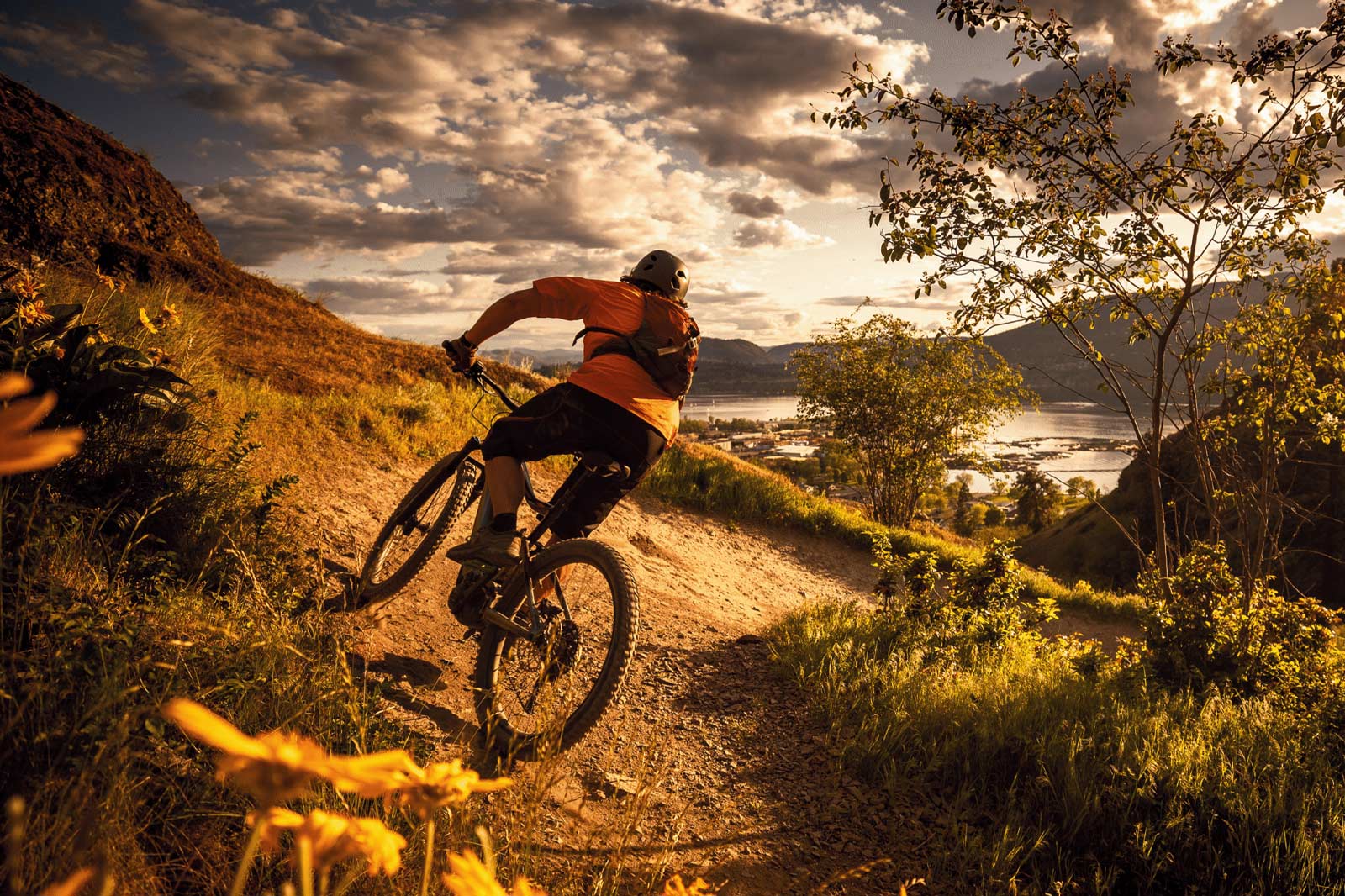 Power to Pedal
