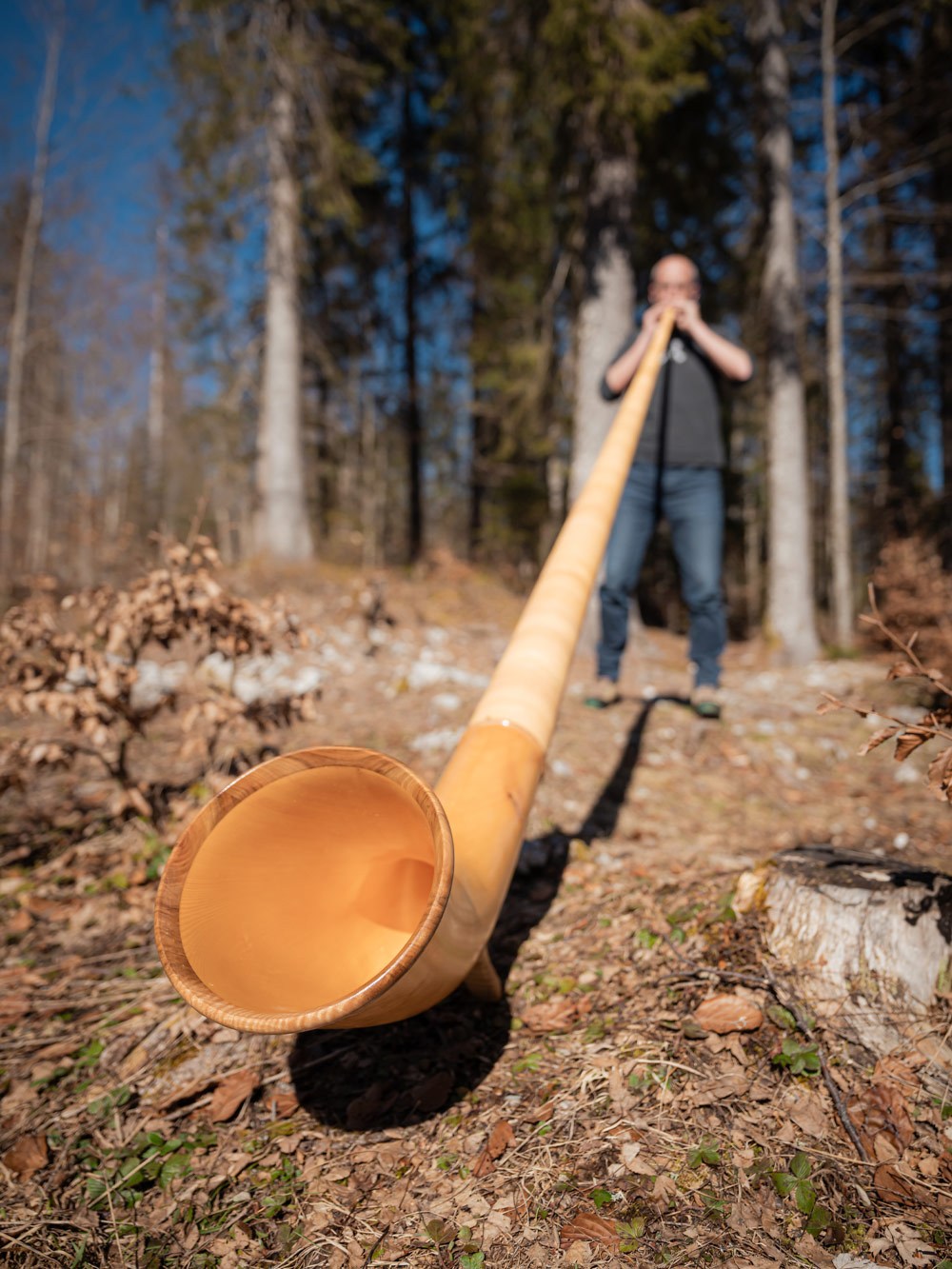 David Candaux Alpine Horn