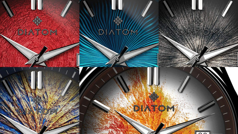 Diatom Inner Worlds