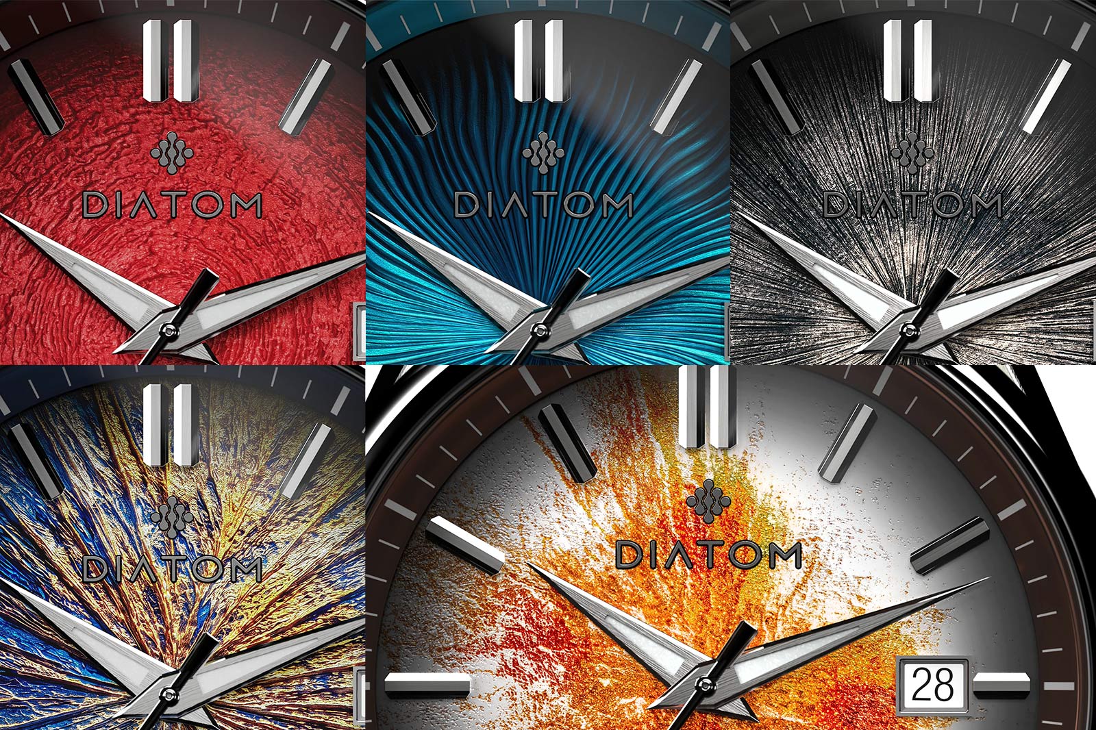 Diatom Inner Worlds