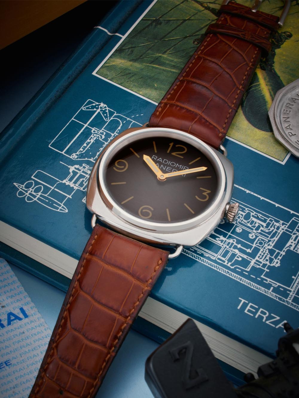 Panerai Radiomir PAM00021