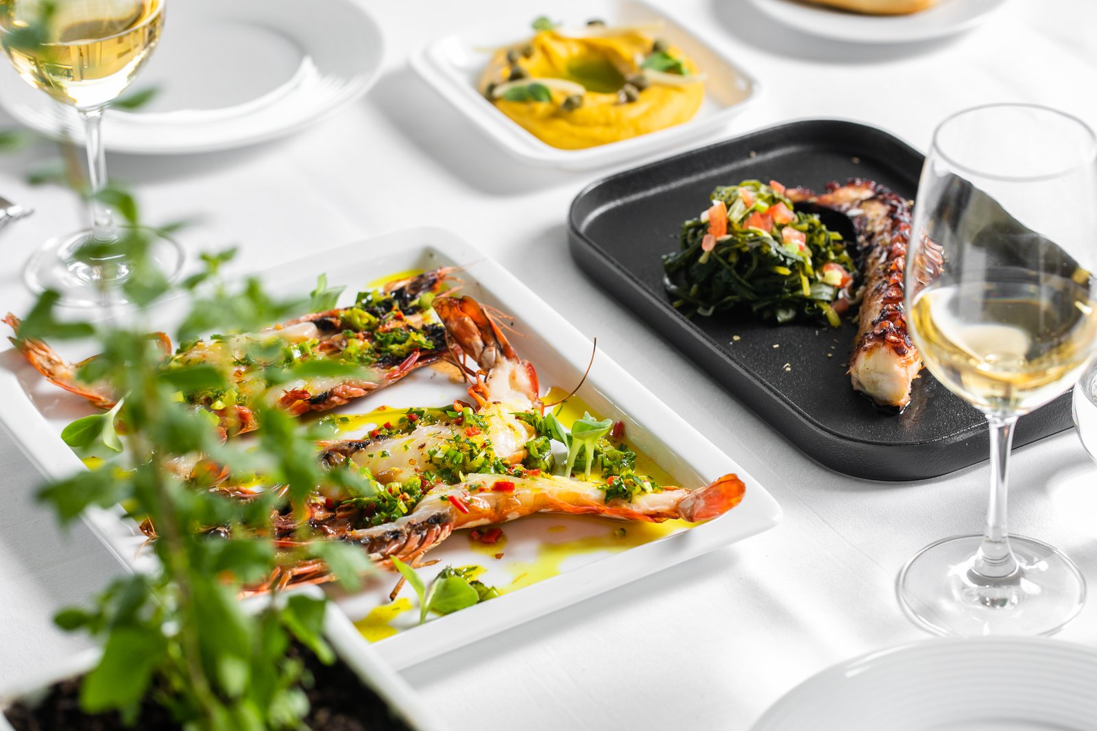 Seafood dishes and white wine at Cikado restaurant, Porto Carras Grand Resort