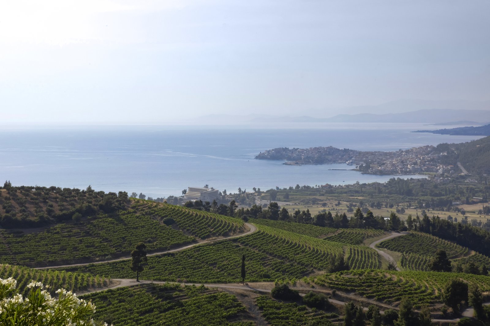 Domaine Porto Carras vineyards on the slopes of Meliton above the Aegean